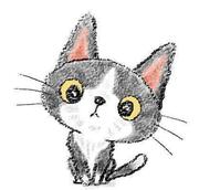 飞翔的竹蜻蜓的个人资料头像