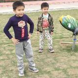 宏阳907头像