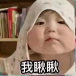 飞速阿迪头像