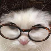 Jaaaaaaade77的个人资料头像