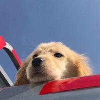 晒个下午阳光头像