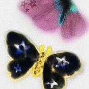 kikii9的个人资料头像