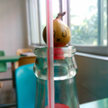 熙宇茗头像