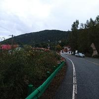 庐山烟雨浙江潮k头像