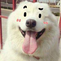 ʚ 别回头↯ ɞ头像