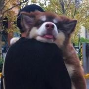 还没去冰岛吃刨冰的个人资料头像