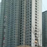 桃花醉春光888头像