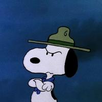 耳东辰小太阳头像