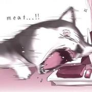 ACGNING的个人资料头像