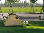 嫌晚吗i的个人资料头像