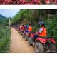 8006奔跑的小象头像
