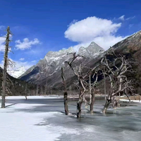 流浪西藏阿林头像