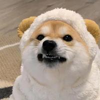 用户1043843187223头像