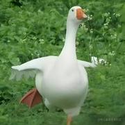 用户107886015951的个人资料头像