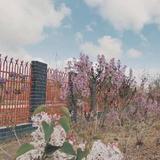 用户3860206321700头像