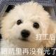 被你一说有些球多头像