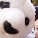 瓦它那北头像