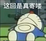 有些喧嚣的风儿的个人资料头像
