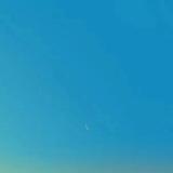 一个俗人XpyC头像