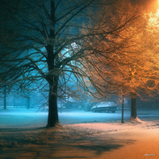 悠哉前往的个人资料头像