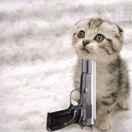 ayy的个人资料头像