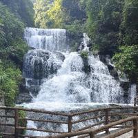 要被爱——请说真话头像