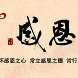 青涩雪碧Qno头像