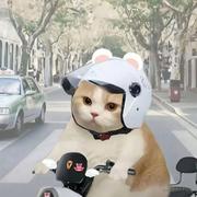 jufser的个人资料头像