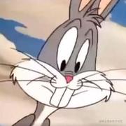 神枪兔子的个人资料头像