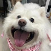 babii的个人资料头像