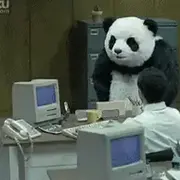 nullpoint的个人资料头像