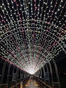 饮茶啦喂的个人资料头像