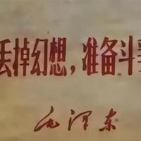 没有鼻子的眼睛叫腿毛头像