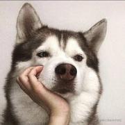杨慕辰_eh的个人资料头像