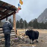 酒德水生头像