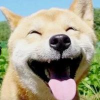 专咬小孩的狗头像