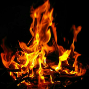 程黑的个人资料头像