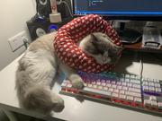 程序员_西瓜皮的个人资料头像