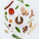 Whisplash的个人资料头像