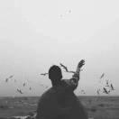 心安是归处的个人资料头像