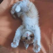 你是我的我是你的谁的个人资料头像