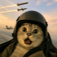 知情达理精灵kSc头像