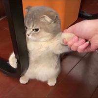 用户297140874484头像