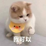 EddieZ198的个人资料头像