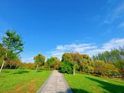 小周说ai的个人资料头像