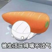 better200的个人资料头像