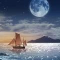 清闲的星辰1头像