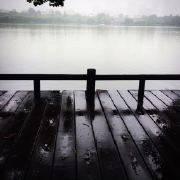 落尽余辉的个人资料头像