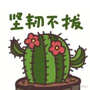 林上奇数的个人资料头像