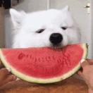 X爱学习0918的个人资料头像